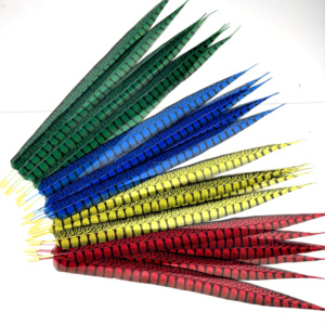 Nuevos productos Artificial 60-150cm Lady Amherst Pheasant Feathers para carnaval Fiesta Decoración Centros de mesa Plumas De <span class=keywords><strong>Faisan</strong></span> - Product Image 1