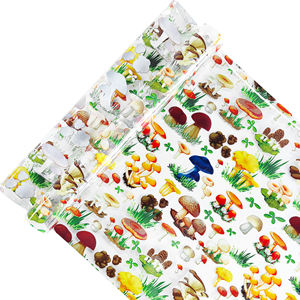 สินค้าขายดีพิมพ์ลายเห็ดหนา: ผ้าไวนิล TPU 0.5มม. สามารถใช้ทำกระเป๋างานฝีมือได้ - Product Image 2