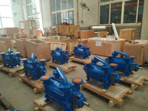 Pompe à vide à anneau liquide double étage DLV 140 pour le traitement des eaux usées, personnalisable OEM, EV-Power DLV-140 Ring V - Product Image 3