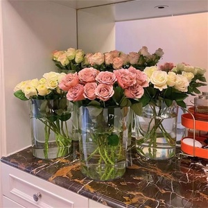 <span class=keywords><strong>Vase</strong></span> <span class=keywords><strong>hydroponique</strong></span> de seau d'éveil de fleurs fraîches de Rose transparente pour les nécessités quotidiennes d'anniversaire ménage - Product Image 4
