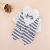 Vêtements pour chien à rayures, style western, tendance printemps