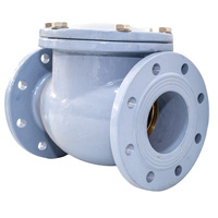 F86 DN50 double bride joint dur clapet anti-retour en fonte pour fluide