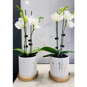 Maceta de orquídeas y mariposa nórdica, de cerámica, sencilla, especial, de lujo, pequeña, <span class=keywords><strong>con</strong></span> bandeja - Product Image 2