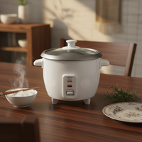 Nouvelle Tendance : Cuiseur à Riz Électrique Multifonctionnel Personnalisable avec Cuiseur Vapeur, Appareil Électroménager Portable