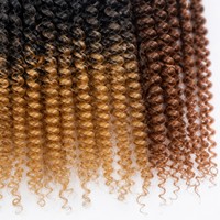 Tresses au crochet bicolores effet vague d'eau Passion Twist, cheveux synthétiques personnalisés pour toutes les occasions