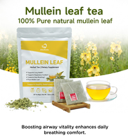 Nouveaux produits Chinaherbs : Sachets de thé naturel à base de molène certifiés GMP pour la purification des poumons et le soutien respiratoire