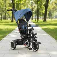 Tricycle pliant pour bébé, fourni par l'usine, pour enfants de 0 à 6 ans, avec frein et capote