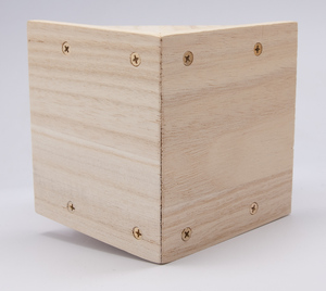 Kit de nichoir à oiseaux en bois personnalisé, kits de nichoirs en bois à faire soi-même, arts et artisanat, peinture pour enfants, construire et peindre - Product Image 3
