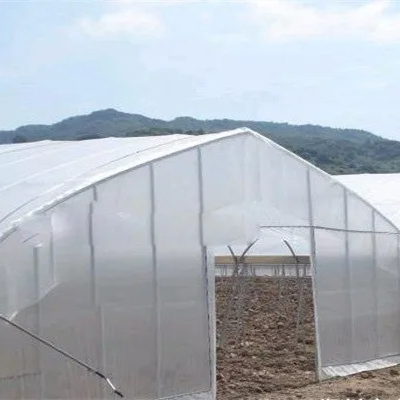 Flim Tunnel Horticultural Green House for