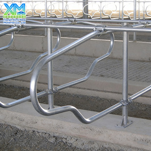 Establo Libre para Vacas de Leche, de Alta Resistencia, Galvanizado en Caliente, Cubículo Personalizado de Una o Dos Filas para Granjas Lecheras - Product Image 1