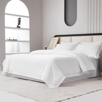Ensemble de literie moderne respirant toutes saisons de luxe 100% coton 250TC pour hôtels cinq étoiles