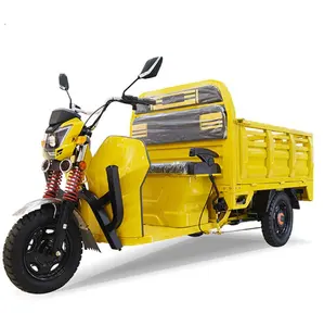 Best-seller Cargo Loader Euro EEC approvato prezzo a buon mercato 1500W 3 ruote risciò elettrico