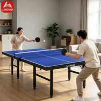 Table de ping-pong portable mini de haute qualité pour l'intérieur et l'extérieur – Offre spéciale