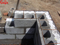 Machine de moulage de formes en EPS à haute efficacité, contrôlée par PLC, de fabrication professionnelle, à économie d'énergie, avec moteur de pompe pour blocs EPS ICF