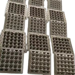 Molde de caja de huevos de última tecnología a buen precio - Product Image 1