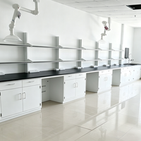 Banc de laboratoire en acier personnalisable, résistant aux produits chimiques, avec armoire suspendue pour laboratoire universitaire multidisciplinaire