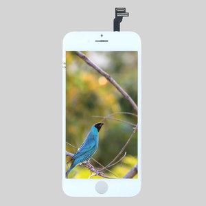 Écran LCD pour téléphone portable Apple 5 6 7 8 X 11 12 13 Pro Max, remplacements d'écran, écran OLED d'origine, écran LCD pour iPhone - Product Image 4