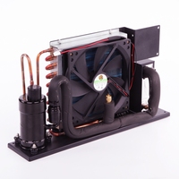 HVAC pièces solaire dc 24v 600w petit onduleur de réfrigération unité de refroidissement liquide pour PC CPU refroidissement