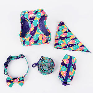 Ensemble de harnais de luxe réglable pour chien de petite taille Collier pour animal de compagnie à sublimation personnalisée avec laisse en nylon Accessoires de luxe personnalisés pour animaux de compagnie - Product Image 5