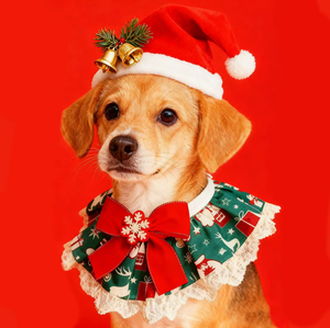 Collier pour animaux de compagnie à imprimé animal simple et accessoires en satin mignons avec collier pour animaux de compagnie pour Noël - Product Image 3