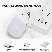 Lámparas LED ultrabrillantes de alta potencia para acampar Linternas de bombilla de emergencia recargables para uso en exteriores