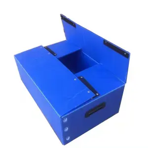 Size Customizable Polypropylene Hollow Sheet PP Corrugated Sheet Proplex Twinplast Corriflute constructing plastic containers