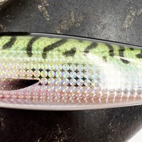 Leurres Alpha Glow à pas lent 40g 60g 80g Leurre métallique imprimé 3D UV pour la pêche en eau salée en rivière lac ruisseau