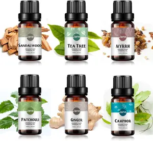 Tea Tree Sandelhout Patchouli Mirre Gember Kamfer 100% Pure Aromatherapie Etherische Olie Gift Set Voor Diffuser Huidverzorgingsmassage