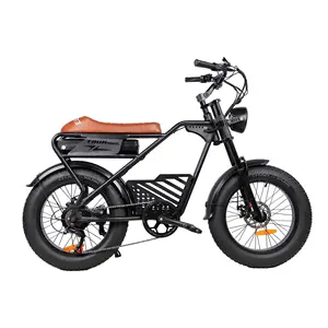 Tourwheel 48V 250W adulte deux roues 20 pouces 7 vitesses vélo électrique avant avec panier de rangement vélo électrique Fat Bike