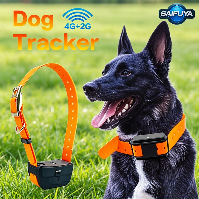 OEM ODM Smart GPS GLONASS GPRS GSM 4G WiFi Real-Time Tracking Hunting Dog Waterproof Anti-Lost Collar PC Support 1 Year Warranty