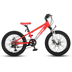 <span class=keywords><strong>Bambini</strong></span> Mountain Bike <span class=keywords><strong>per</strong></span> <span class=keywords><strong>bambini</strong></span>/Bicicleta Nios 10 12 13 14 anni bambina ragazzo/nuova bicicletta a velocità variabile MTB - Product Image 2