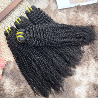 Lot de Cheveux Humains Brésiliens Bruts Non Traités, Grade 12A, Naturels, Bouclés Crépus, Vierge, en Gros