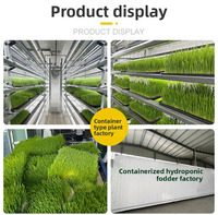 Système d'agriculture verticale hydroponique Mayboom pour laitue, champignons et safran dans des conteneurs maritimes - Facile à utiliser