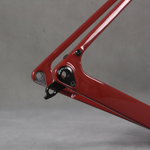 Carbon <b>Frame</b> Disc Gravel Bike Full Hidden Cable Part Carbon Fiber T1000 T4 700X50C Frameset <b>Paint</b> PT492C GR048 - Product Image 3