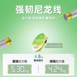 JUQIWANG Fluorocarbon Line 40g With <b>Scale</b> For <b>Platform</b> Fishing - Product Image 5