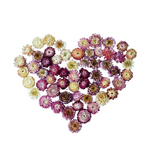 Beau thé aromatisé parfumé <span class=keywords><strong>de</strong></span> haute qualité thé <span class=keywords><strong>de</strong></span> fleurs en fleurs chinoises séchées chrysanthème à sept couleurs - Product Image 1