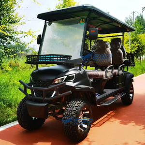Voiturette de golf électrique au lithium 60V 2, 4 ou 6 places de Chine à vendre – Véhicule de club de golf chinois - Product Image 2