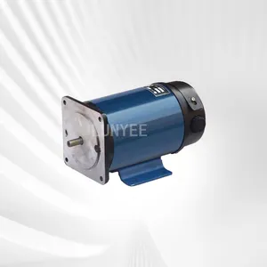 Dc Motor 48V 1000W 130 Zyt 110 Zyt Serie Permanente Magneet Borstel Dc Motor Met Worm Versnellingsbak