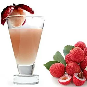 Machine de production de jus de fruits, litchi, fabrication de poudre, ligne de traitement, g