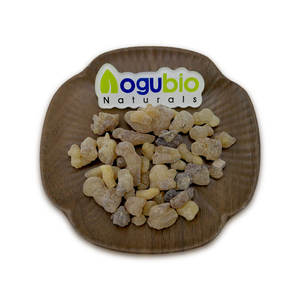 AOGUBIO, высококачественный экстракт Boswelia Serrata, 65%, порошок, порошок, экстракт босвеллина - Product Image 5