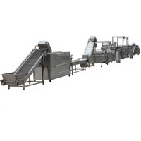 Nieuwe commerciële, goed verkopende, automatische lijn voor het frituren van verse aardappel-frites voor groenteverwerkingsbedrijven