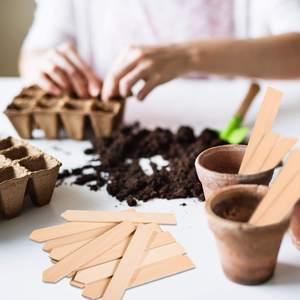 Venda quente por atacado de marcadores de identificação de plantas de bambu para ambientes internos e externos, etiquetas de PE e plástico com encaixe de caixa - Product Image 2