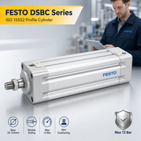 Cylindre pneumatique d'origine neuf DSBC-50-200-PPVA-N3 DSBC-50-250-PPVA-N3 DSBC-50-300-PPVA-N3 DSBC-50-320-PPVA-N3