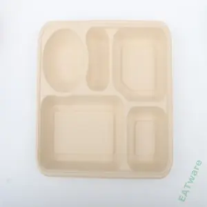 Factory Wholesale Customized Green the factory directly supplies bento tray paper pulp 5 compartments rectangle tray