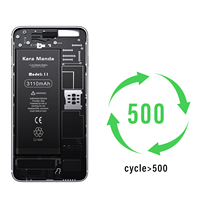 Batterie au lithium rechargeable de qualité supérieure 5000 mAh, remplacement pour téléphones mobiles modèles 6-16 Pro Max SE, certifiée CE RoHS, noire, vente en gros