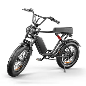 USA EU Dropshipping 20*4 Inch Fat Tire Full Suspension Long Range 1000W Adult Electric Dirt Bike Bicycle