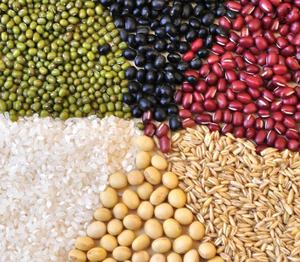 JH-55 Chất Lượng Cao Máy Đo Độ Ẩm Máy Đo Độ Ẩm Hạt Kỹ Thuật Số Máy Đo Độ Ẩm Kiểm Tra 24 Loại Hạt Ca Cao - Product Image 2