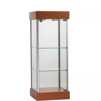Vitrine en verre pour la maison, vitrine de vente au détail, finition en bouleau, vitrines en verre, armoires de présentation avec base en bois et éclairage LED