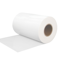 Film adhésif thermofusible en polyester Ds001ts 50cm 100cm pour PVC et tissus textiles