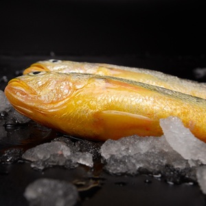 Croaker jaune frais congelé, poisson d'eau de mer profonde, marque Woody, qualité LQF, processus de congélation, emballage en vrac disponible - Product Image 3